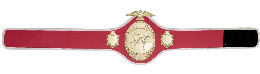 THAI BOXING CHAMPIONSHIP BELT - PRO288/G/TBOG - 10 COLOURS